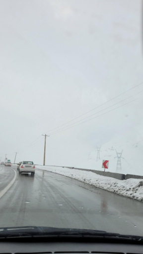 عکس هفت برادران