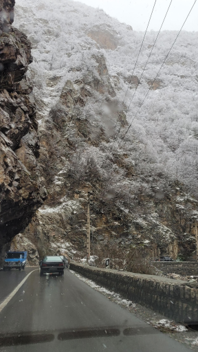 عکس هفت برادران