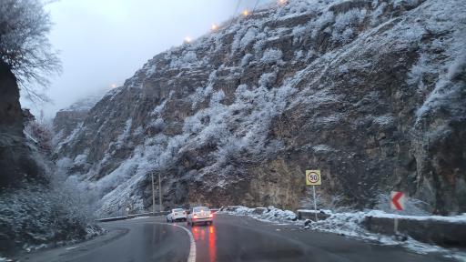 عکس هفت برادران