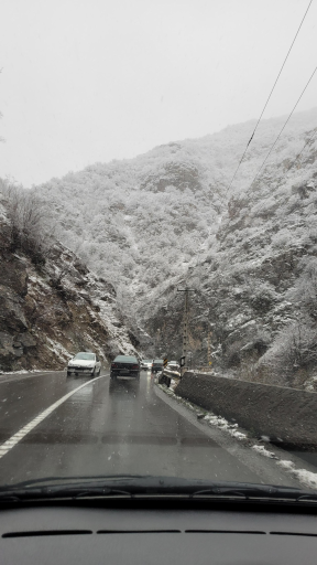 عکس هفت برادران