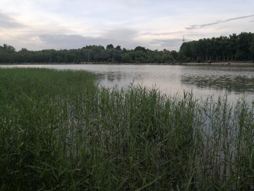 عکس پارک آبشار سوم 