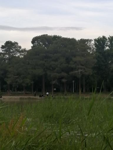 عکس پارک آبشار سوم 