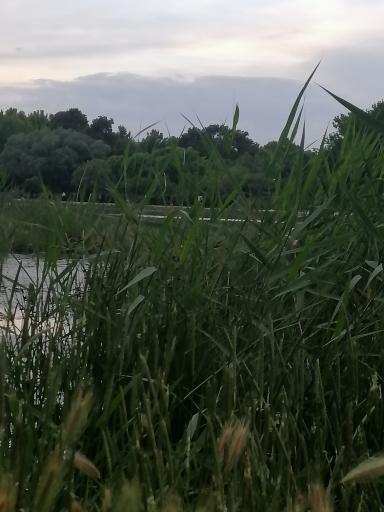 عکس پارک آبشار سوم 