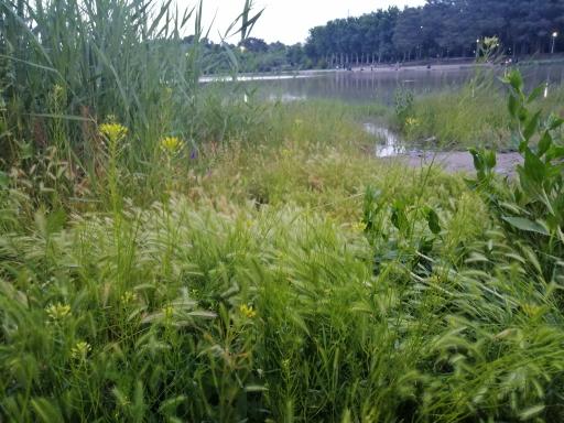 عکس پارک آبشار سوم 