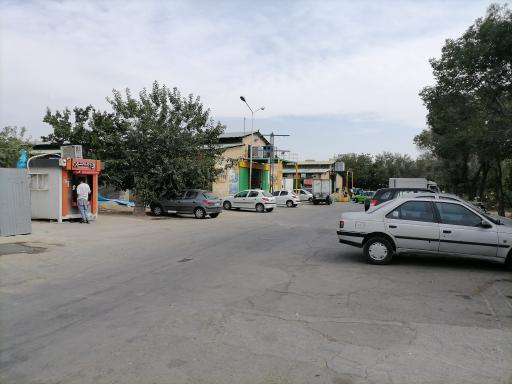 پخش گوشت تبریزی