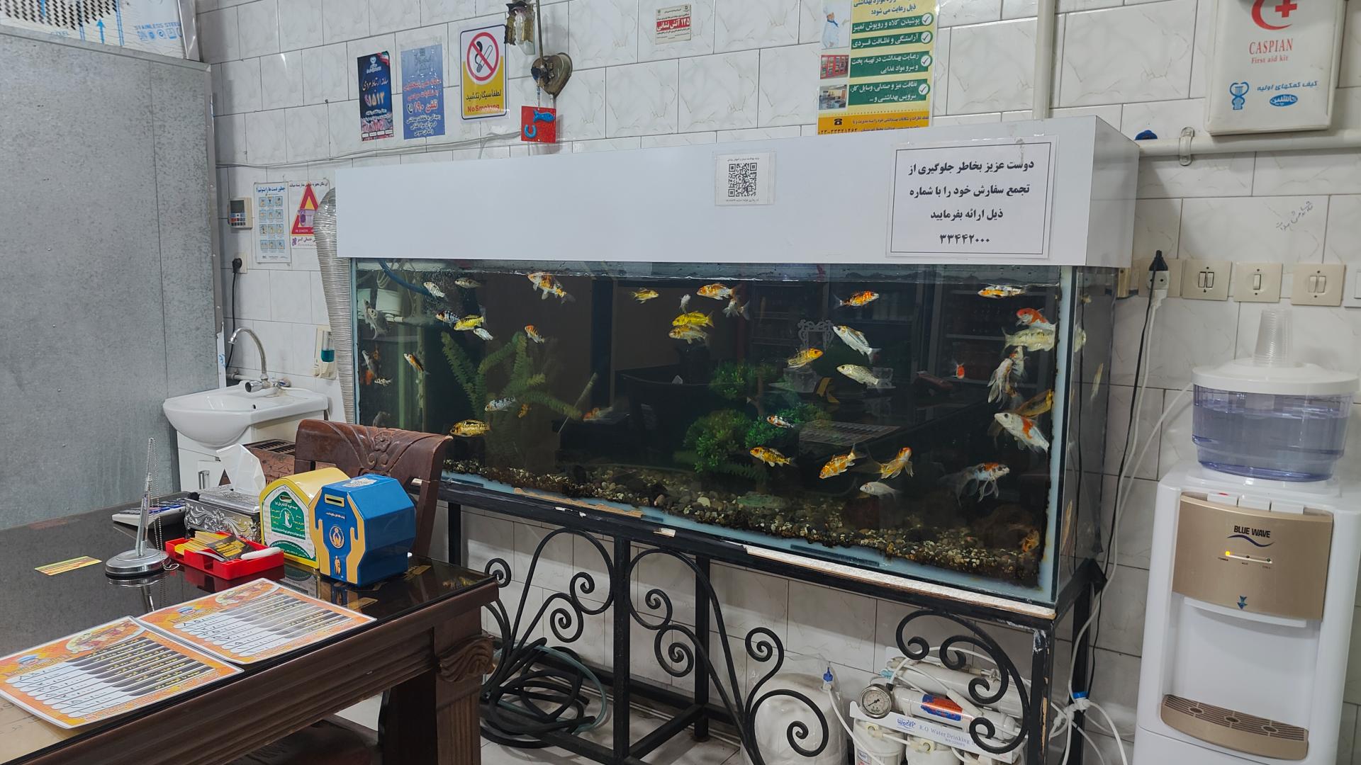 عکس کبابی قائم