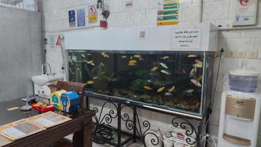 عکس کبابی قائم