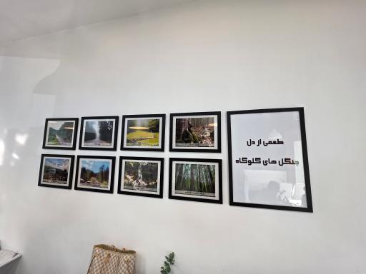 عکس چلو جوجه صیدانلو گلوگاه