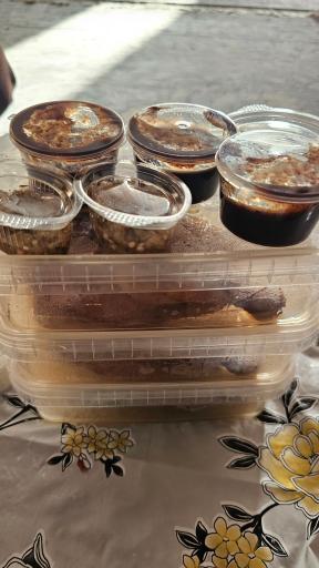 عکس چلو جوجه صیدانلو گلوگاه