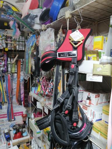 عکس داروخانه دامپزشکی دکتر نصیری