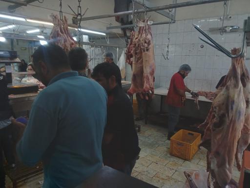 عکس پخش گوشت تبریزی