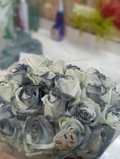 گل سرای سودا
