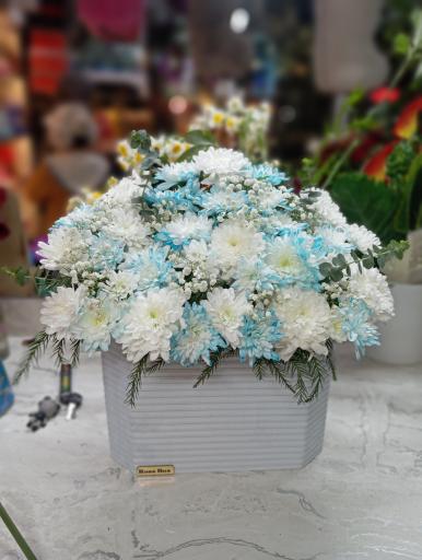گل سرای سودا