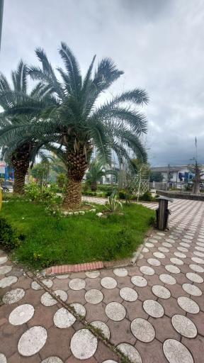 عکس پارک کومله