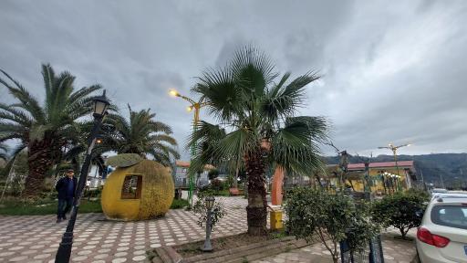 عکس پارک کومله