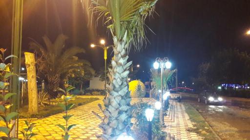 عکس پارک کومله