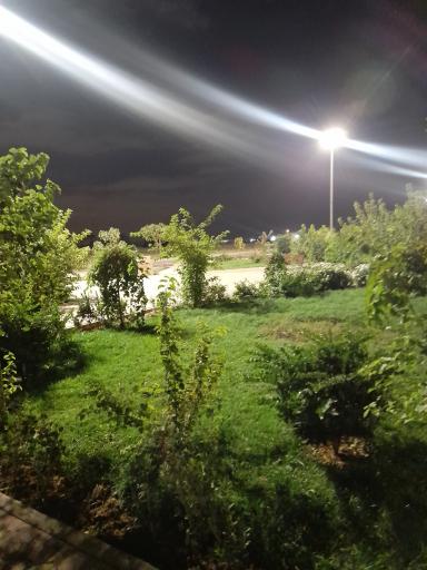 عکس بوستان حنانه