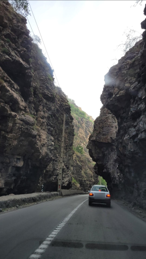 عکس هفت برادران