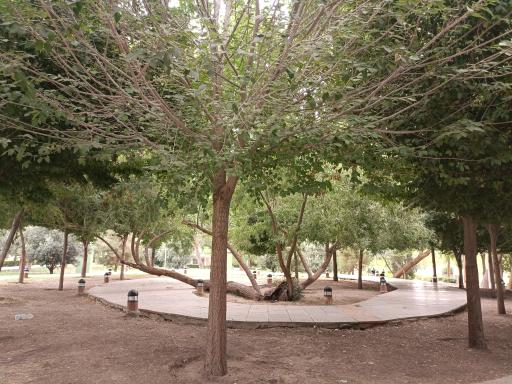 عکس پارک آبشار سوم 