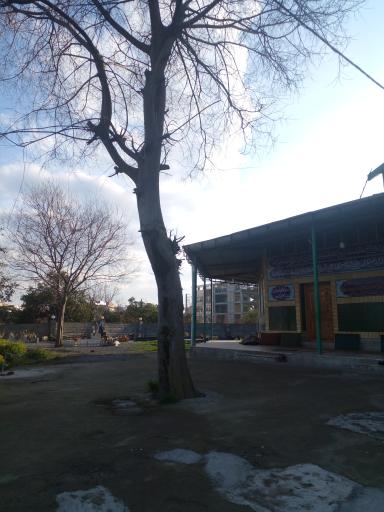 عکس امام زاده عبدالله(ع) 