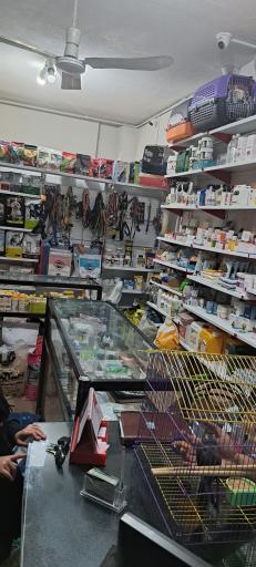 عکس پت شاپ داروخانه دامپزشکی