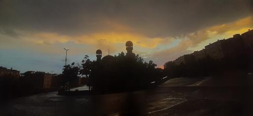 عکس نورالاصفیاء - برادران