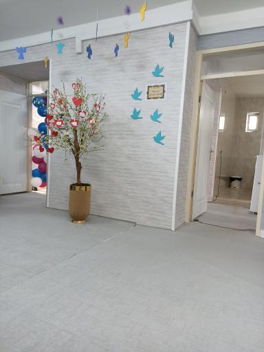 عکس مرکز شوق زندگی