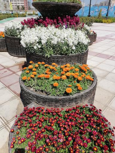 عکس میدان شهید محسن حججی