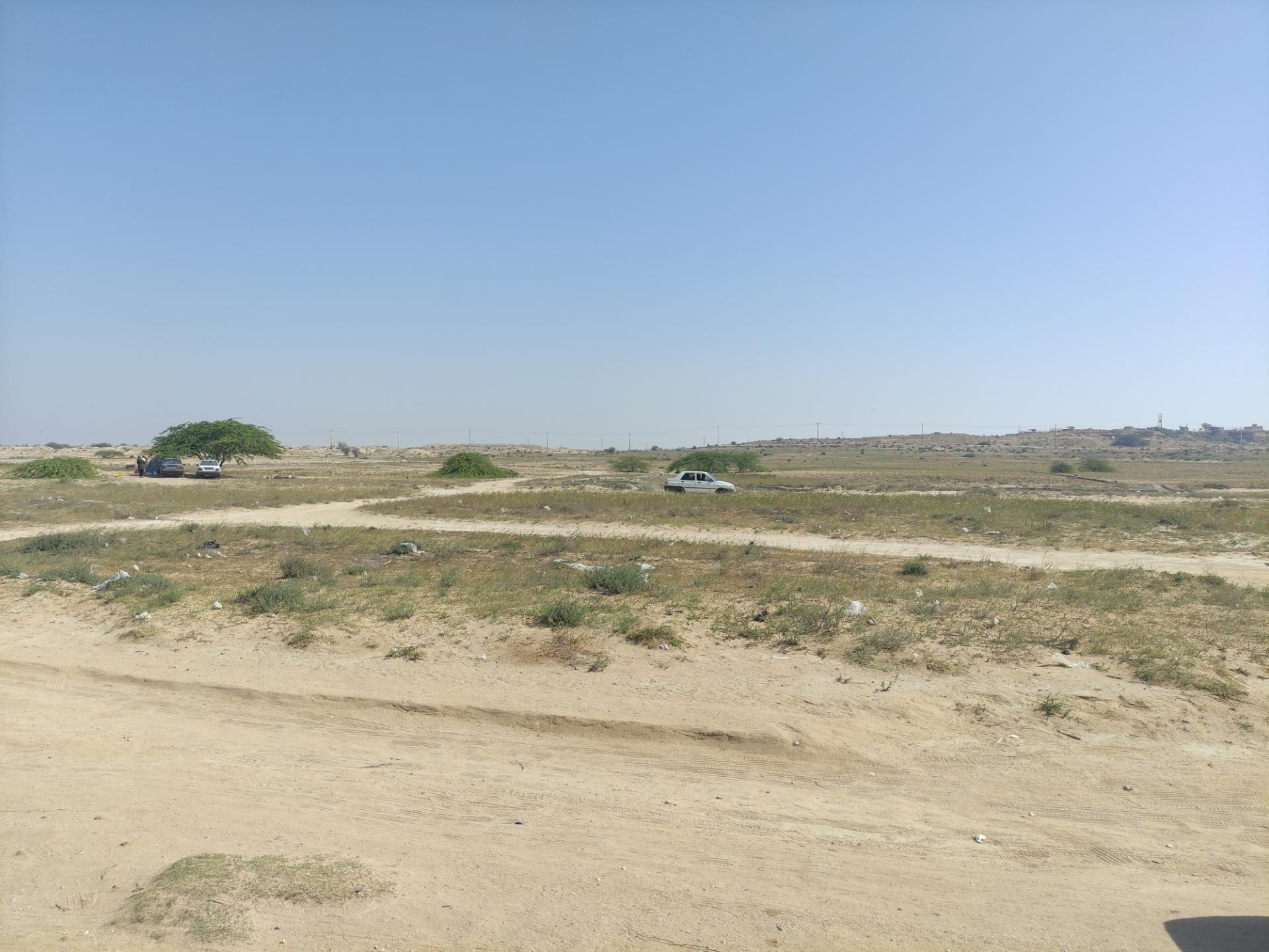 عکس سواحل مرجانی بوشهر