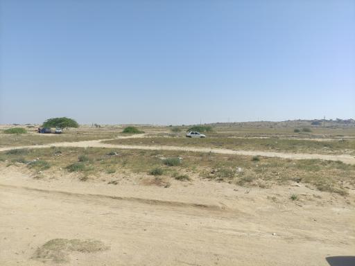 عکس سواحل مرجانی بوشهر