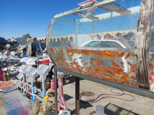 عکس جمعه بازار تربت حیدریه