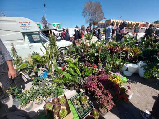 عکس جمعه بازار تربت حیدریه