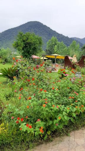 عکس کافه راتینس 