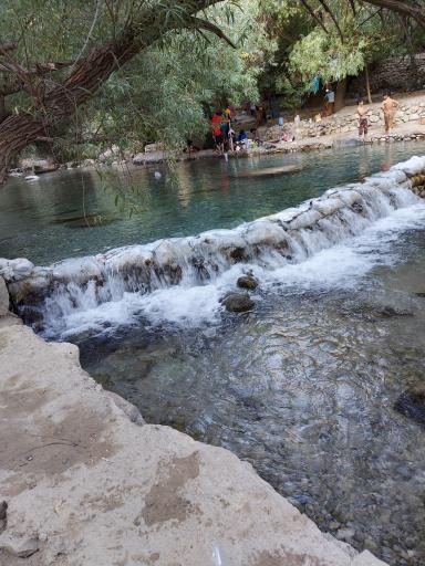 عکس باغ ملک