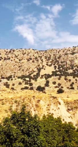 عکس باغ ملک
