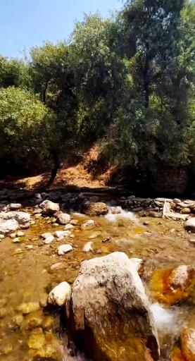عکس باغ ملک
