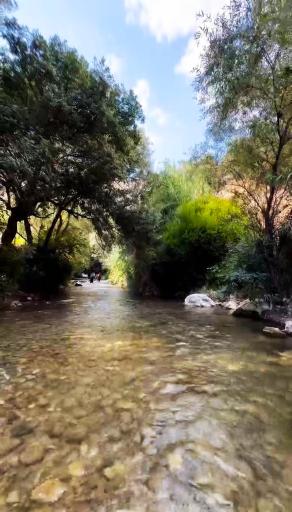 عکس باغ ملک