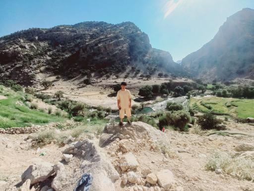 عکس باغ ملک