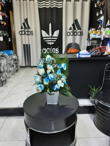 عکس مجموعه تولید و پخش اسپرت آمازون