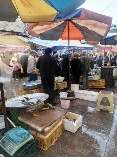 عکس بازار خزر (ماهی فروشان)