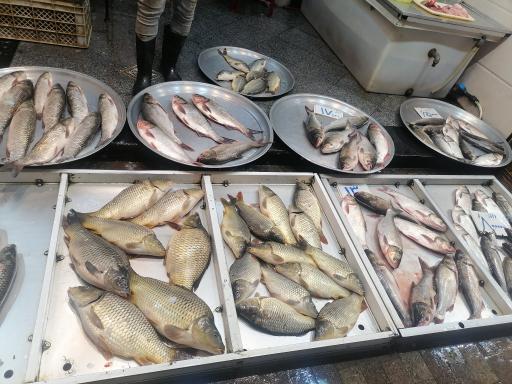 عکس بازار خزر (ماهی فروشان)