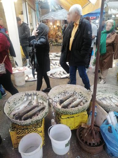 عکس بازار خزر (ماهی فروشان)