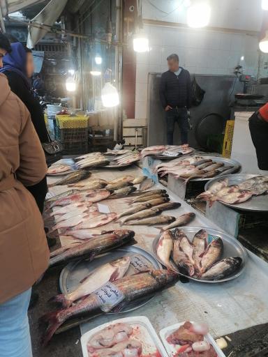 عکس بازار خزر (ماهی فروشان)