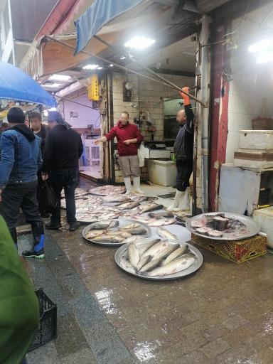 عکس بازار خزر (ماهی فروشان)