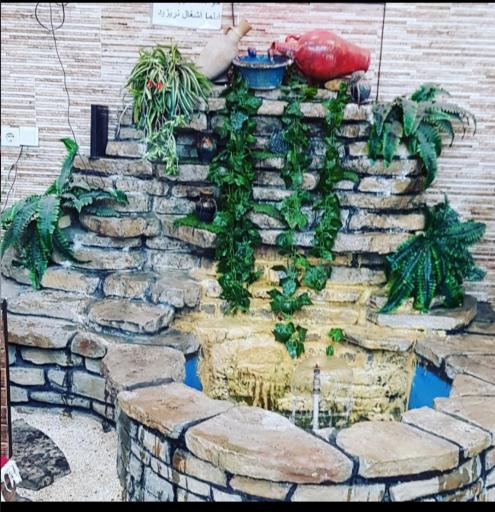 عکس کبابی قدرت