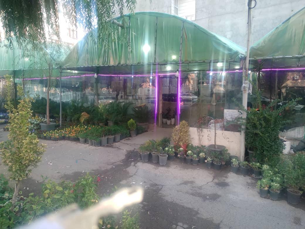 عکس بازار گل