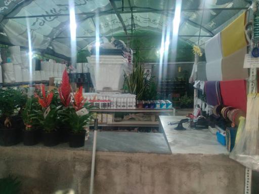 عکس بازار گل