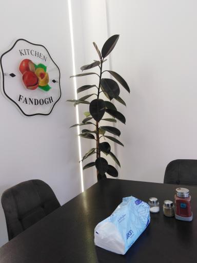 عکس آشپزخانه فندق