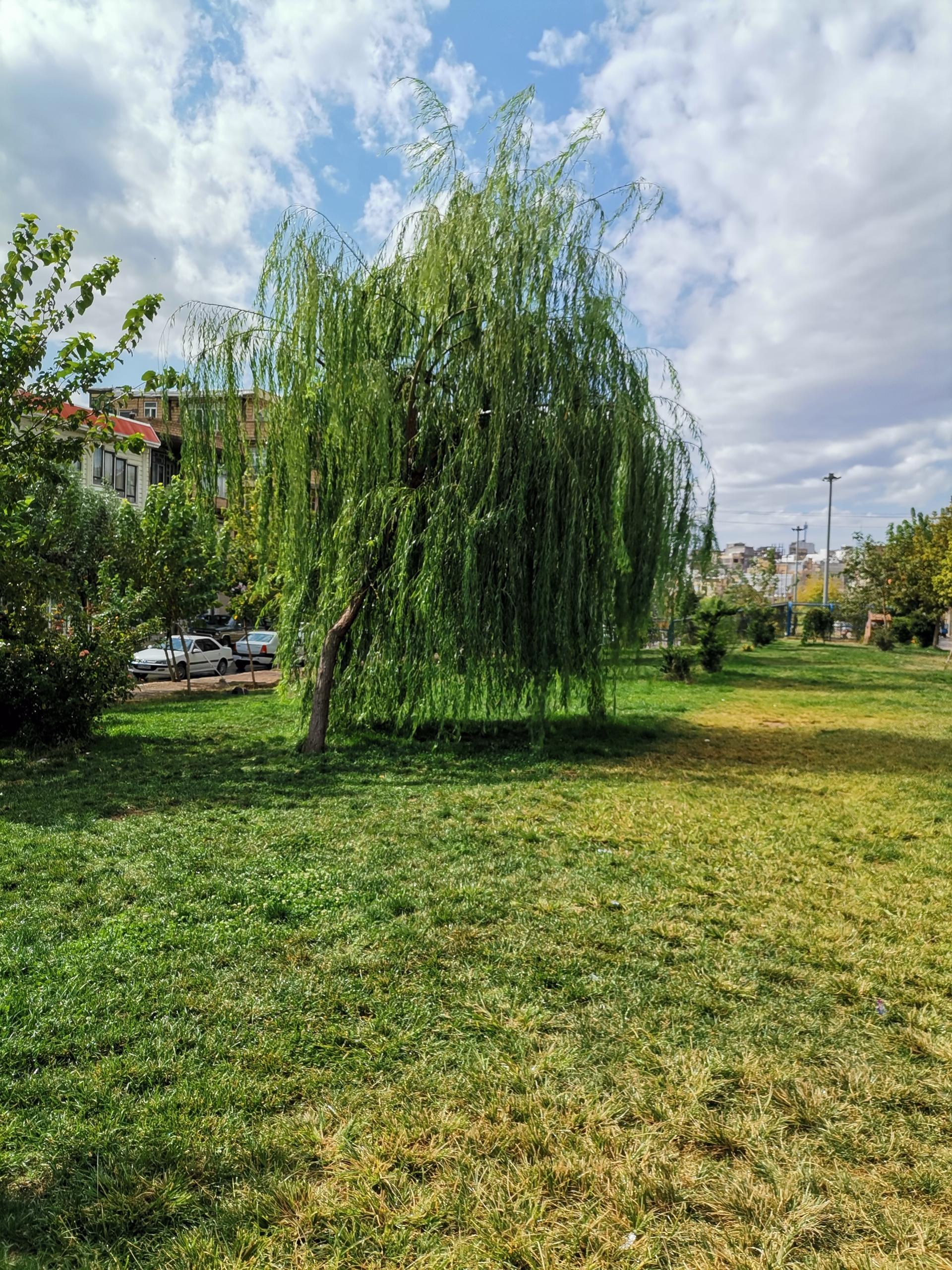 عکس پارک تفریحی