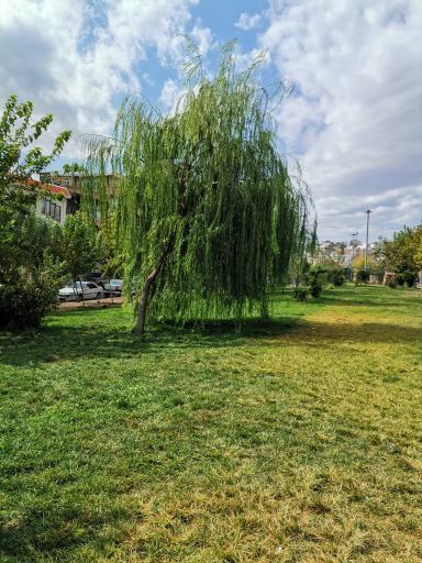 عکس پارک تفریحی